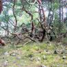 images/Schweden/Schweden 2009/IMG_4485.jpg